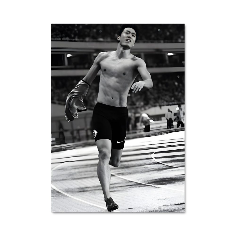 Poster Liu xiang